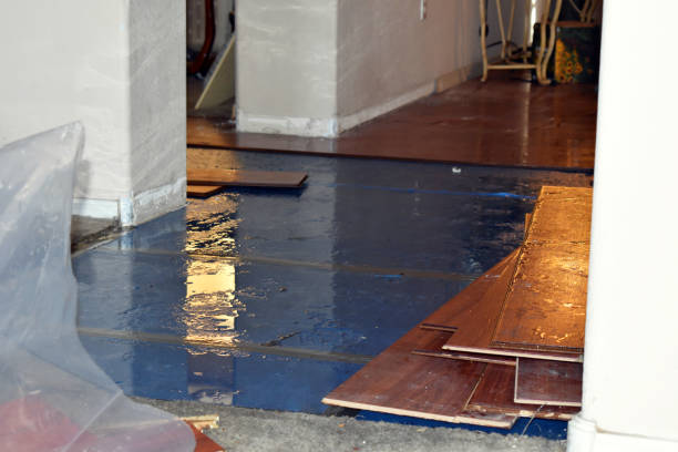 Professional Basement Flood Cleanup technician working in Industry, PA